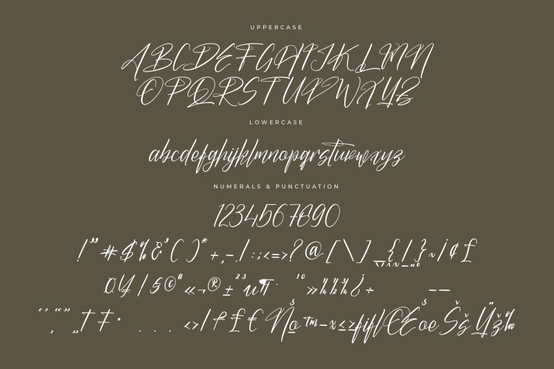 butnekia-modern-signature-font