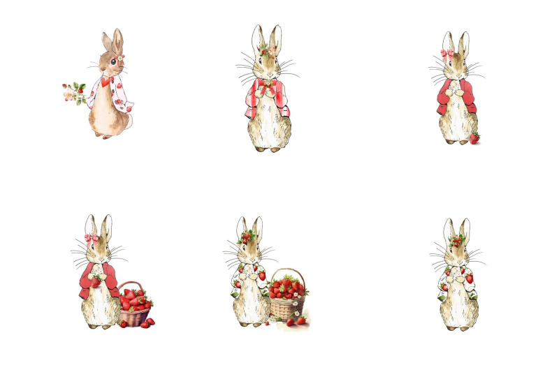 12-peter-rabbit-strawberry-coquette-clipart