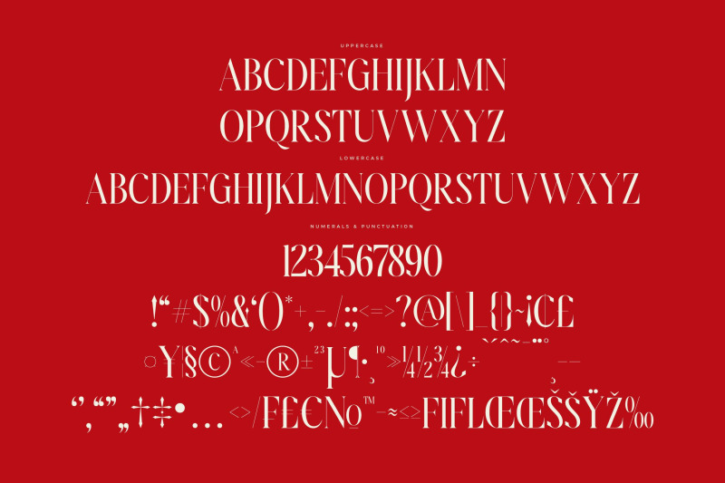 amodhev-modern-serif-font