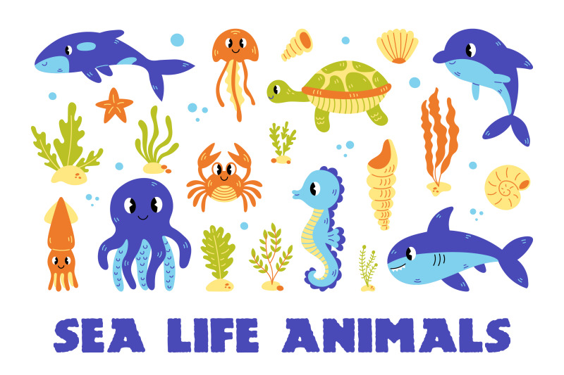 sea-life-animals