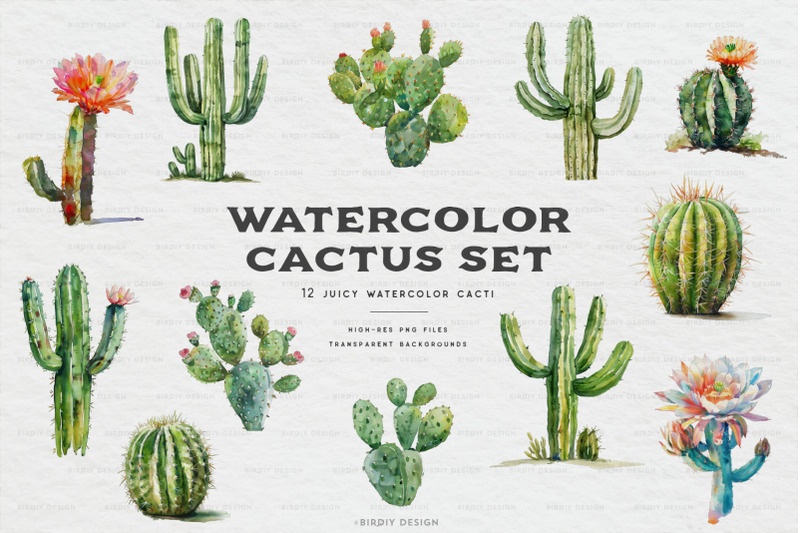 watercolor-cactus-collection