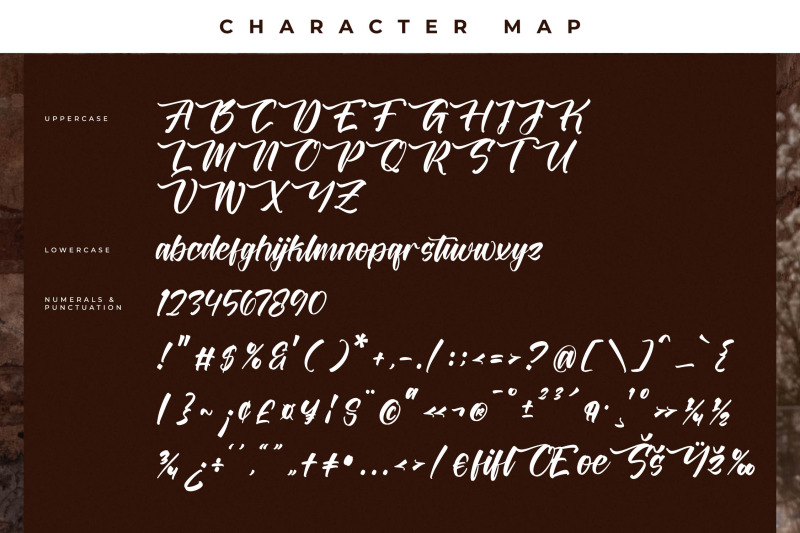battrich-delighta-handwritten-script-font