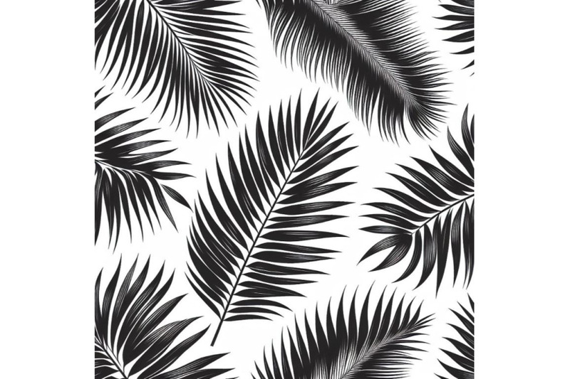 black-palm-leaves-on-white-background