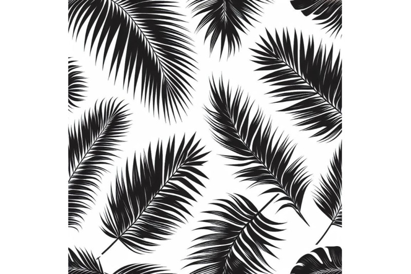 black-palm-leaves-on-white-background