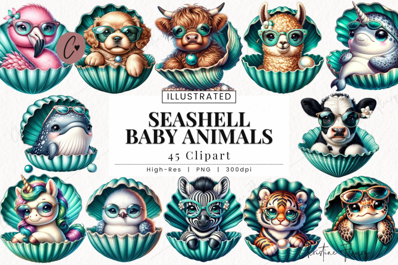 seashell-baby-animals-clipart-beach-png