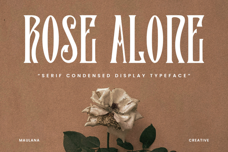 rose-alone-serif-condensed-display-typeface