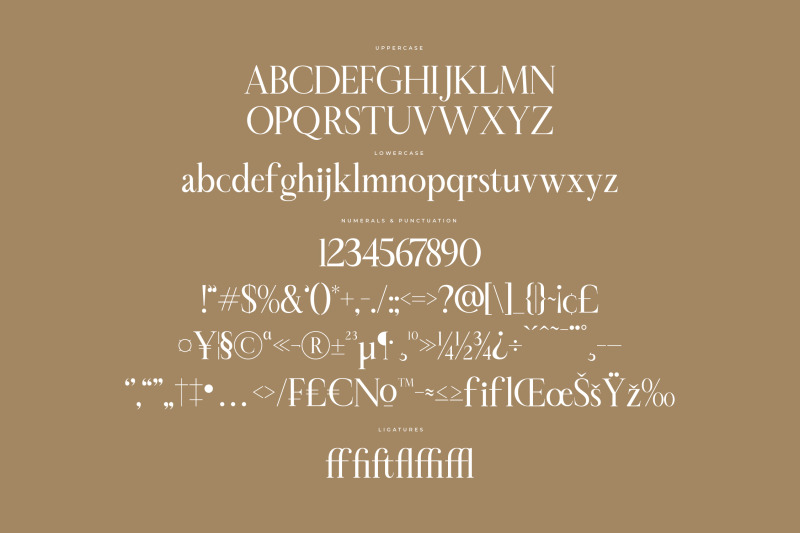 sheftira-modern-serif-font