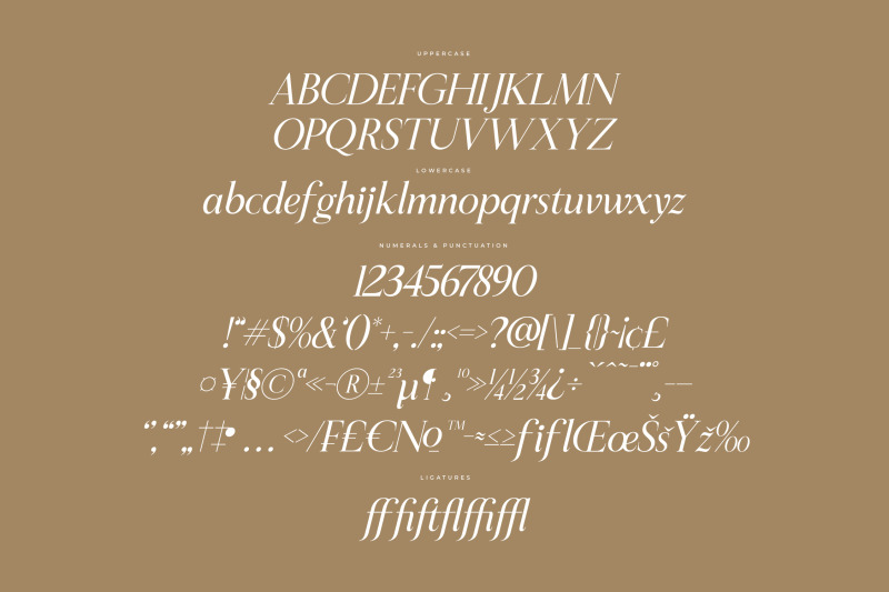 sheftira-modern-serif-font