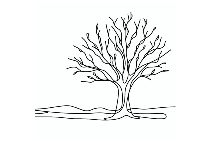 one-line-minimalist-continuous-linear-sketch-dry-tree