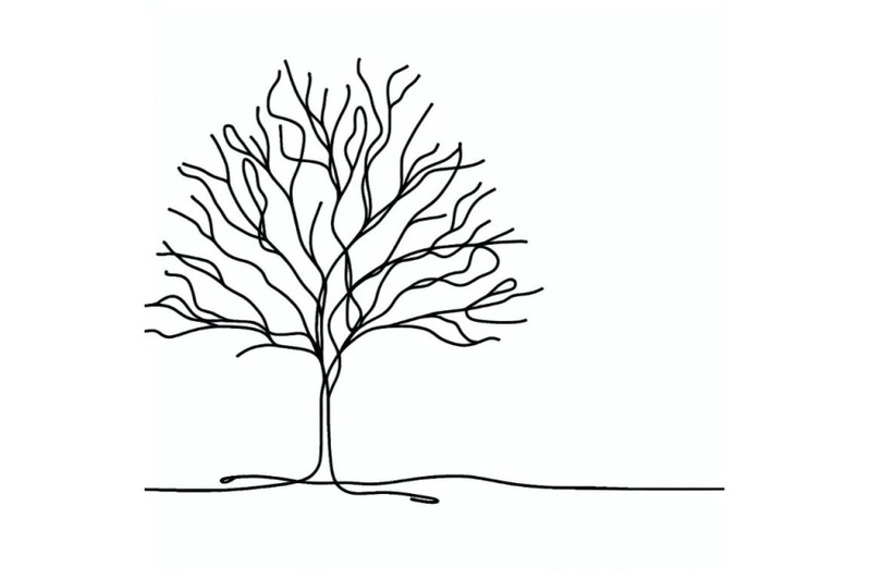 one-line-minimalist-continuous-linear-sketch-dry-tree