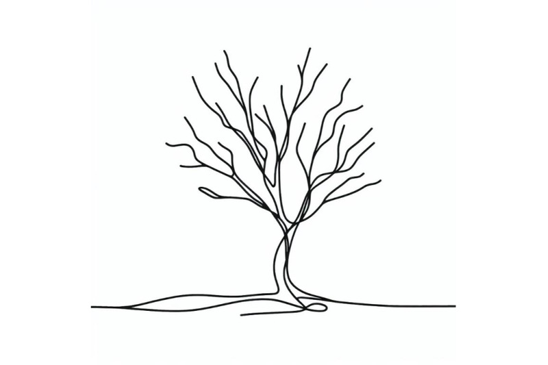 one-line-minimalist-continuous-linear-sketch-dry-tree