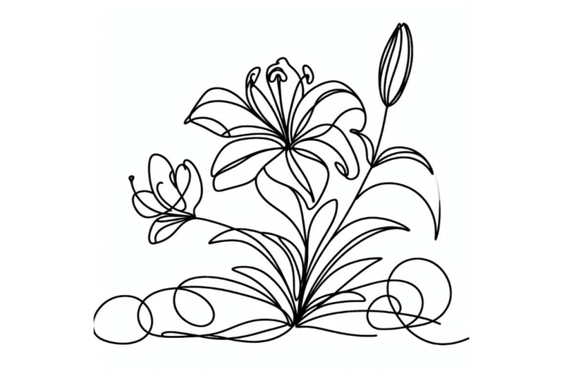 lily-flower-blooming-one-continuous-line-art-drawing-vector