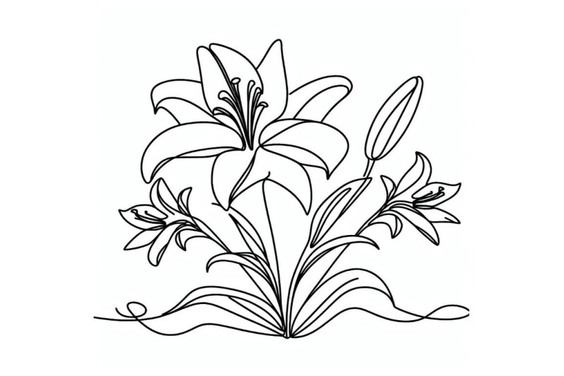 lily-flower-blooming-one-continuous-line-art-drawing-vector