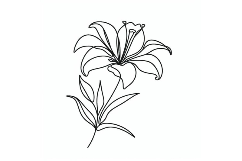 lily-flower-blooming-one-continuous-line-art-drawing-vector