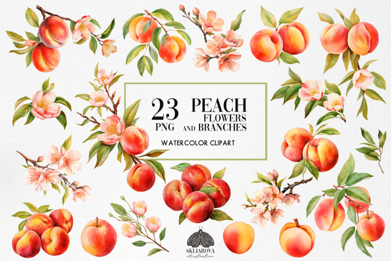 peach-flowers-and-branches