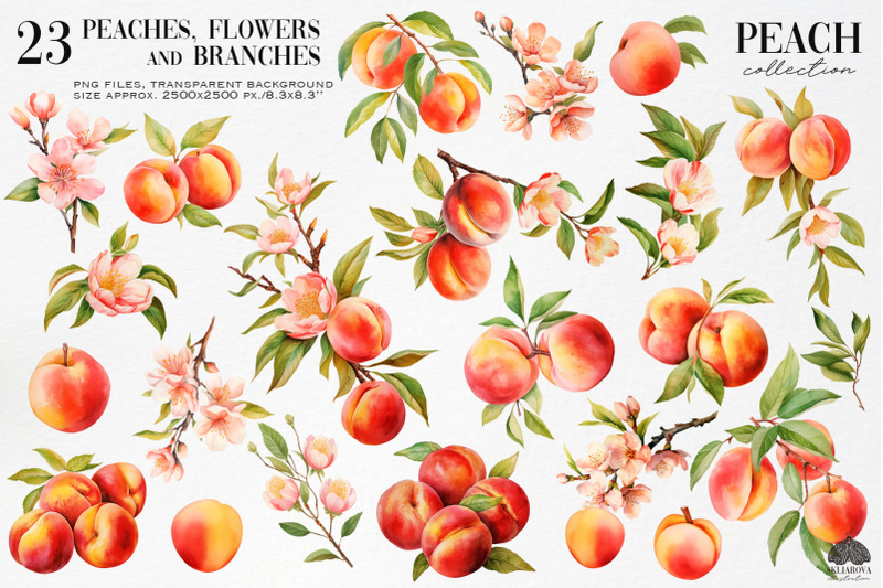peach-flowers-and-branches