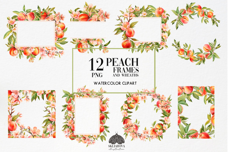 peach-wreaths-and-frames-set