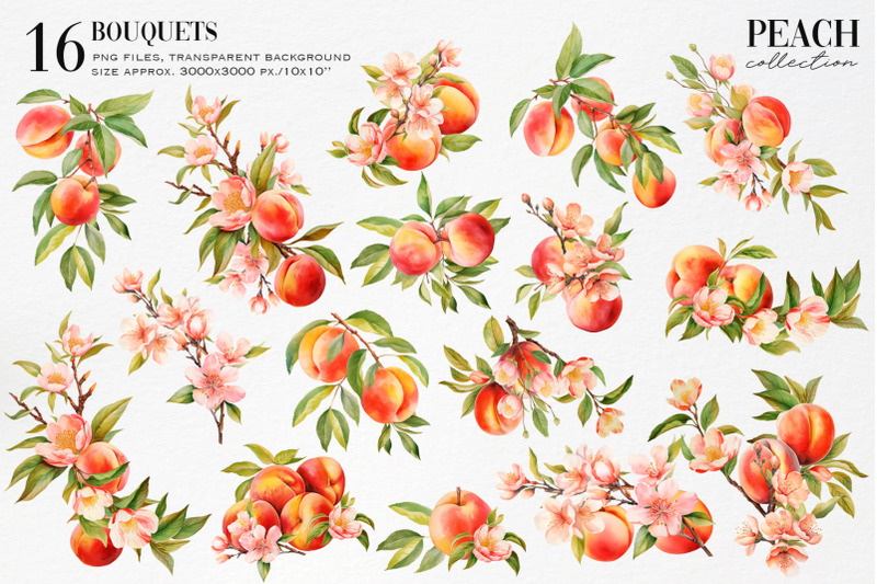 watercolor-peach-collection