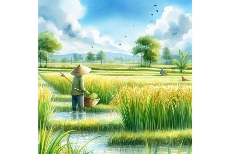 farmer-working-on-paddy-field