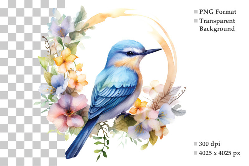 watercolor-bird-clipart