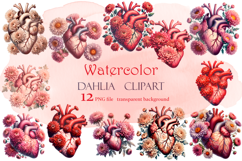dahlia-blooming-anatomy-heart-clipart