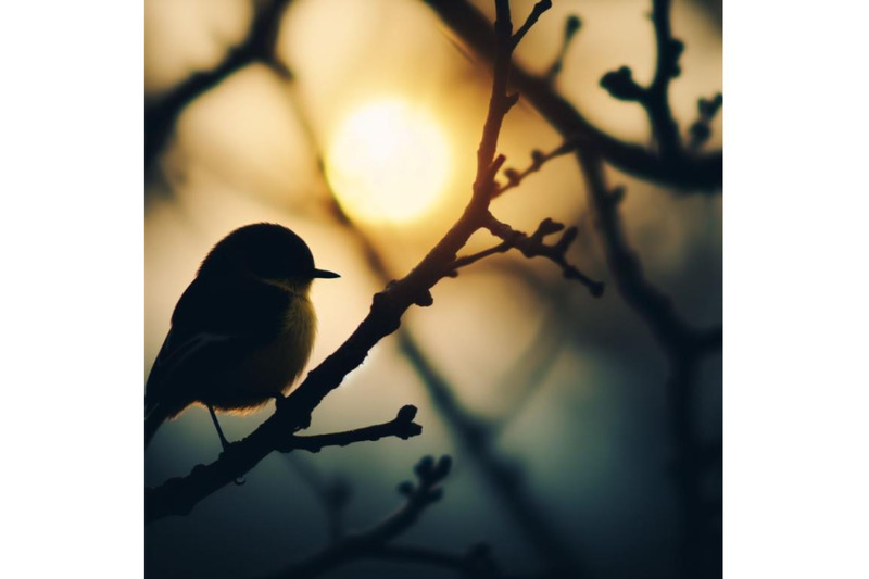 sets-of-8-silhouette-bird-with-yellow-and-black-wat