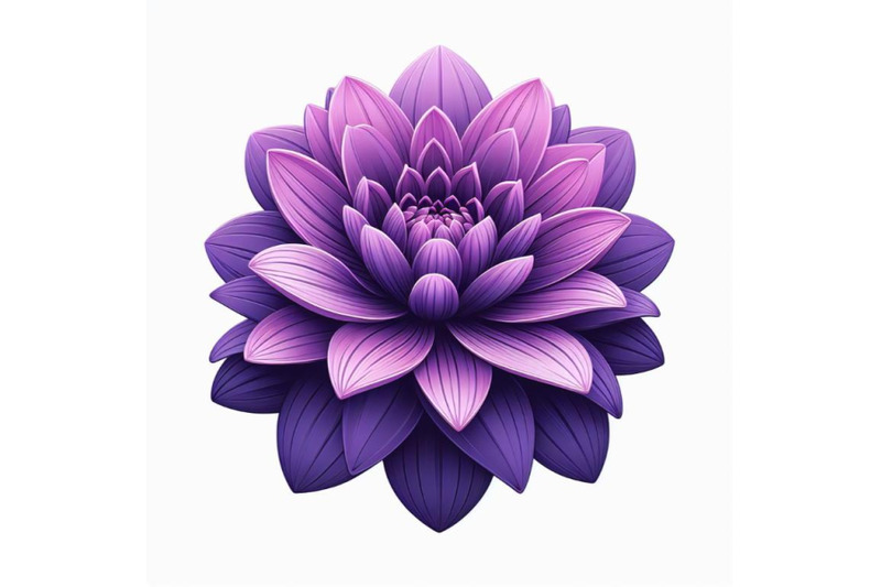 purple-dahlia-flower-isolated-on-white-background-trendy-fashion-styl