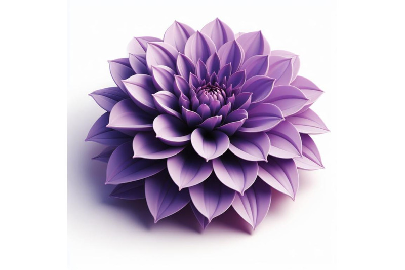 purple-dahlia-flower-isolated-on-white-background-trendy-fashion-styl