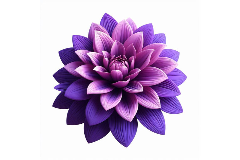 purple-dahlia-flower-isolated-on-white-background-trendy-fashion-styl