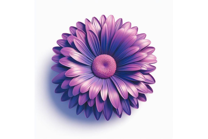 purple-gerbera-flower-isolated-on-white-background-trendy-fashion-sty