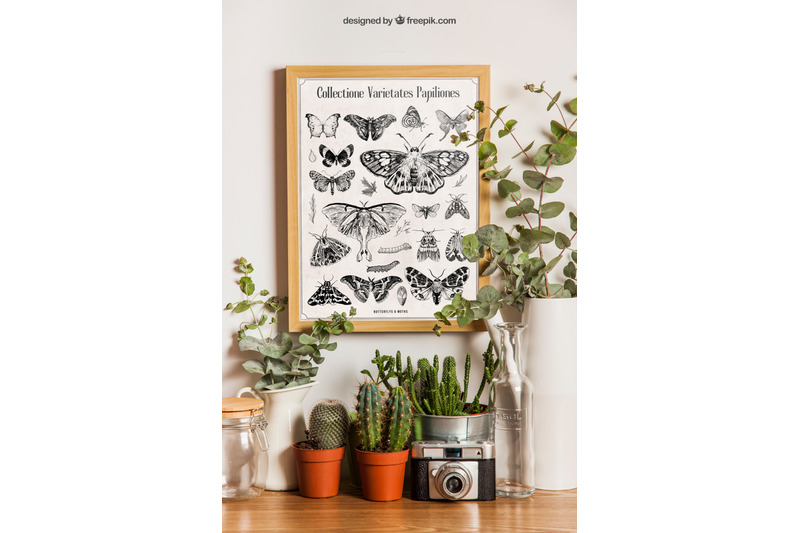 vintage-butterfly-wall-art-prints-digital-print-butterflies-collecti