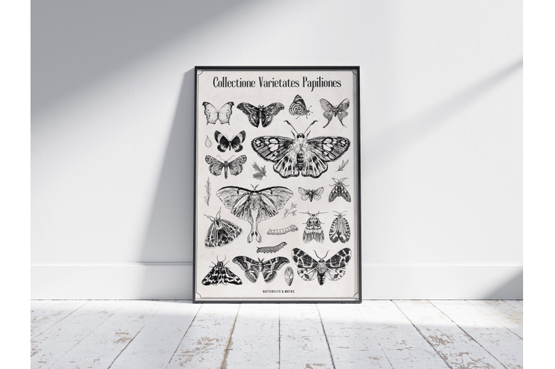 vintage-butterfly-wall-art-prints-digital-print-butterflies-collecti