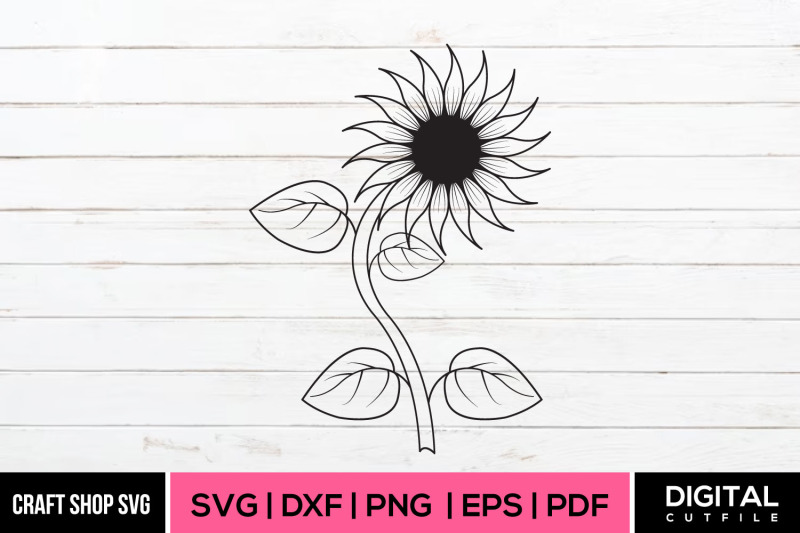 sunflower-svg-sunflower-sketch-vector-design