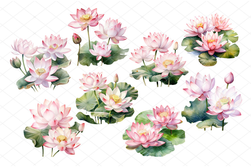 watercolor-lotus-flower-clipart