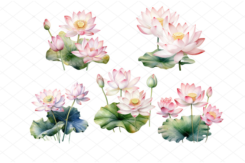 watercolor-lotus-flower-clipart