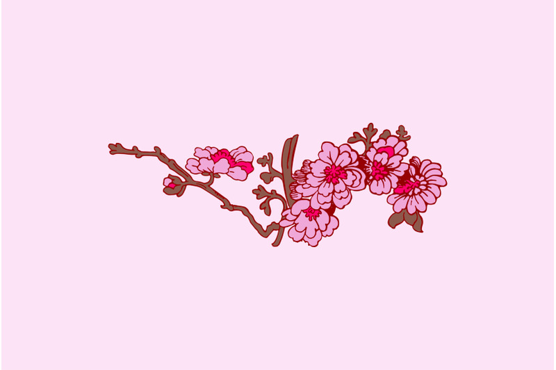 festive-sakura-isolated-on-pink-background-oriental-traditional-outl