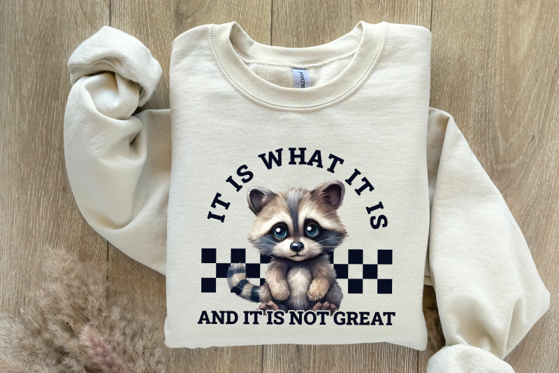 it-is-what-it-is-and-it-is-not-great-racoon-t-shirt-design-sarcastic-funny-graphic-tee-png-trending-sublimation-design-digital-download