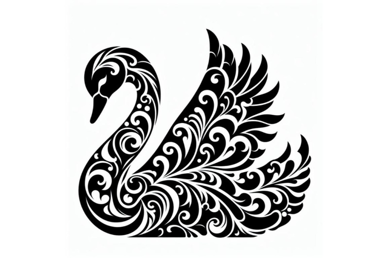 12-black-and-white-swan-with-cset