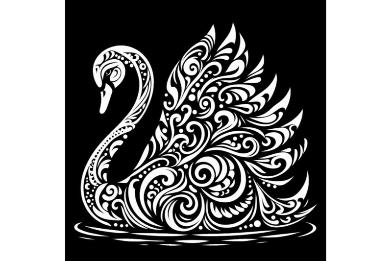 12-black-and-white-swan-with-cset