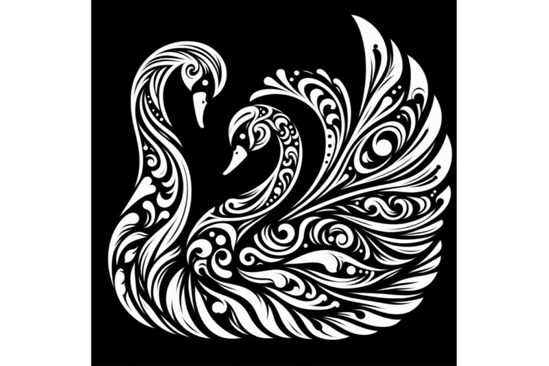 12-black-and-white-swan-with-cset