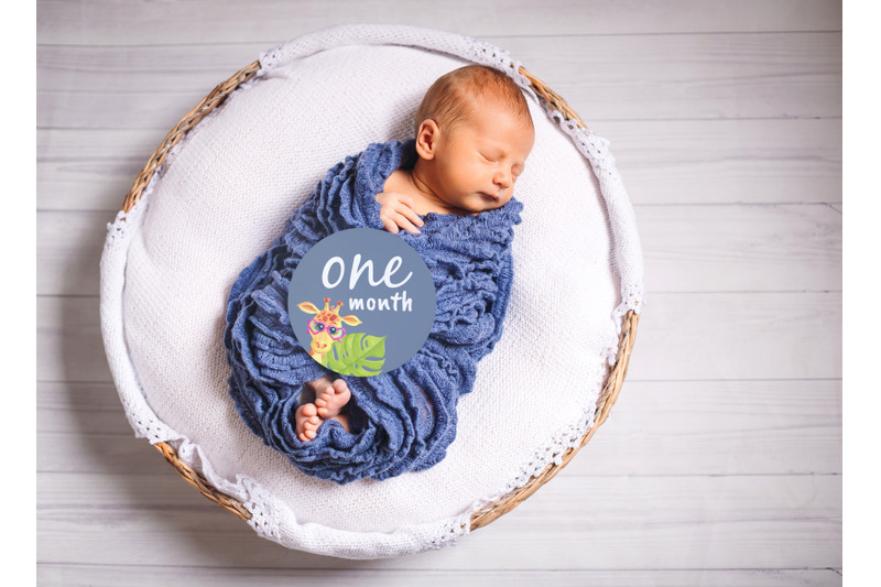baby-16-milestone-cards-newborn-announcement-new-baby-disc-sign-birth