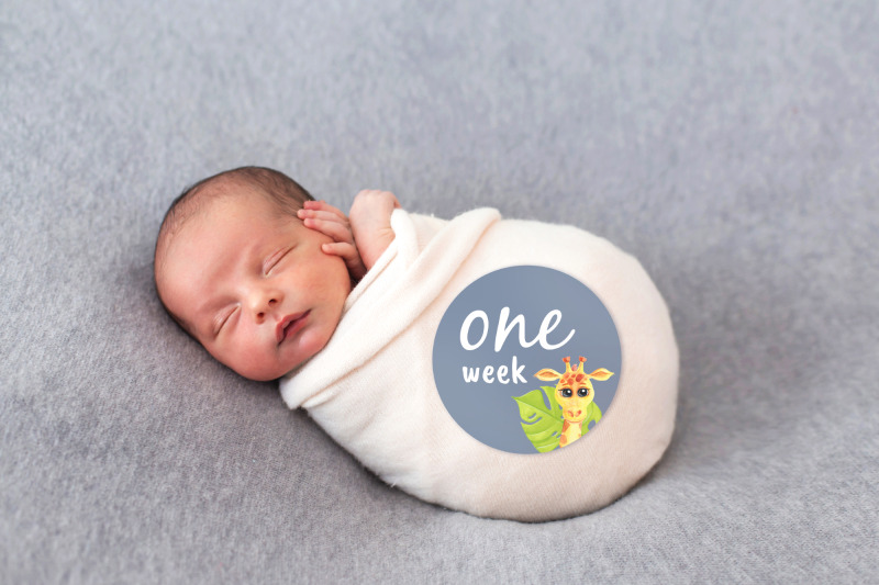 baby-16-milestone-cards-newborn-announcement-new-baby-disc-sign-birth