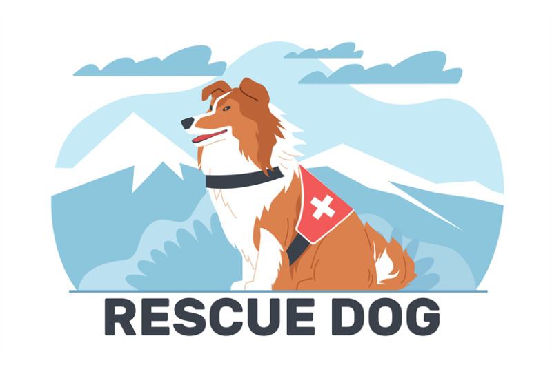 search-and-rescue-dog-against-background-of-mountain-trained-animal