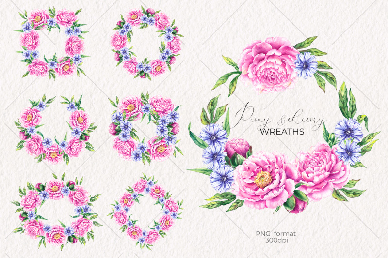 watercolor-peony-and-chicory-wreaths-png