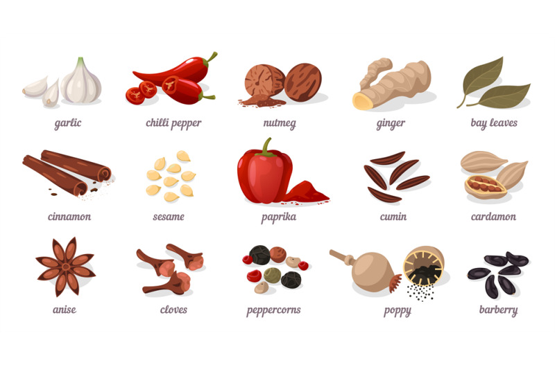 cartoon-spices-flat-dry-herbs-and-condiments-for-cooking-different-s
