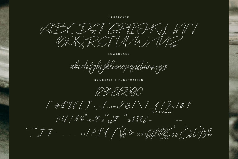 danymeka-modern-signature-font