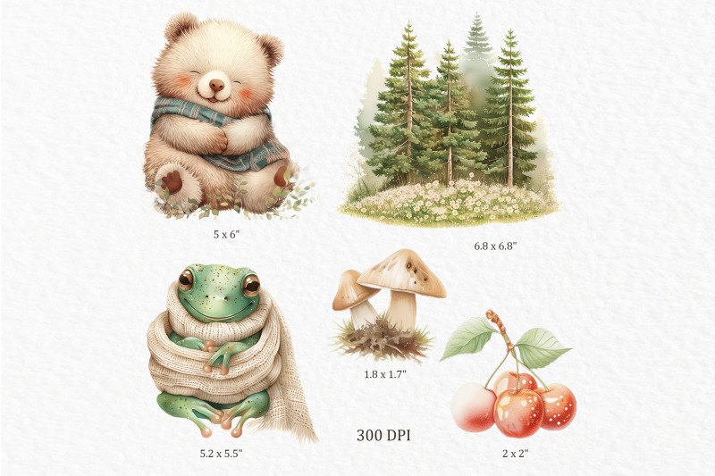woodland-animals-clipart-png