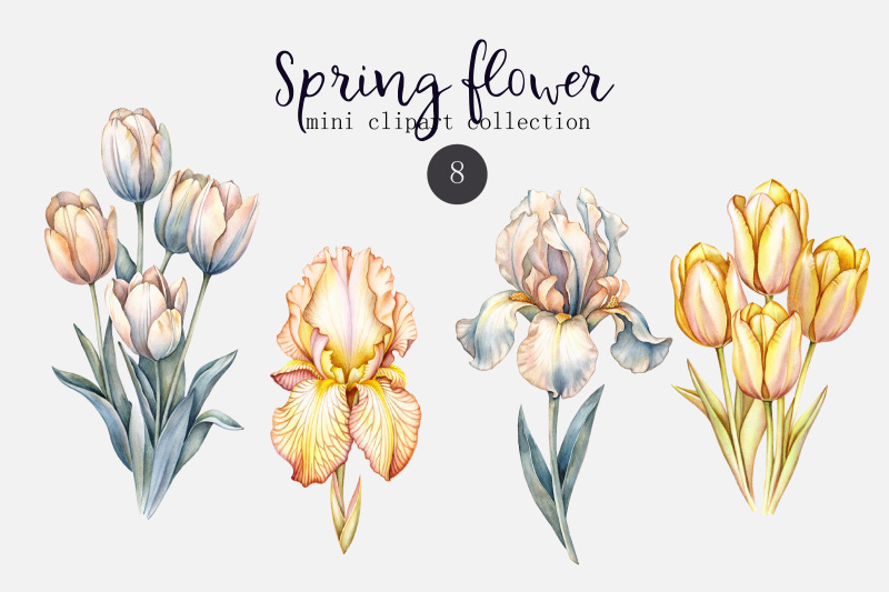 watercolor-spring-flower-set