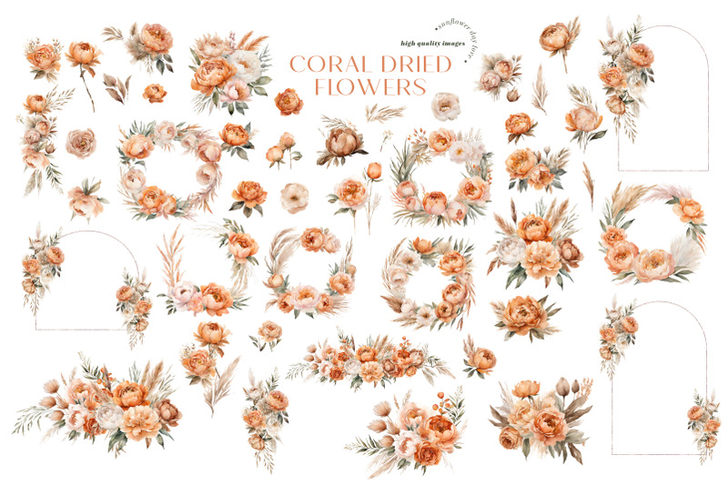 elegant-boho-coral-dried-floral-pampas-grass-clipart