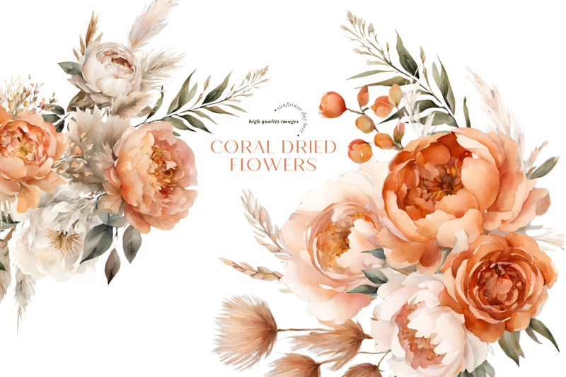 elegant-boho-coral-dried-floral-pampas-grass-clipart
